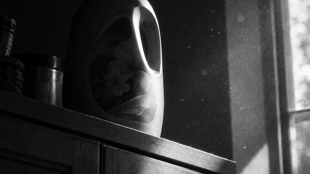 Black and white cinematic shot of a rounded softener bottle on top of kitchen cabinets, label half in shadow