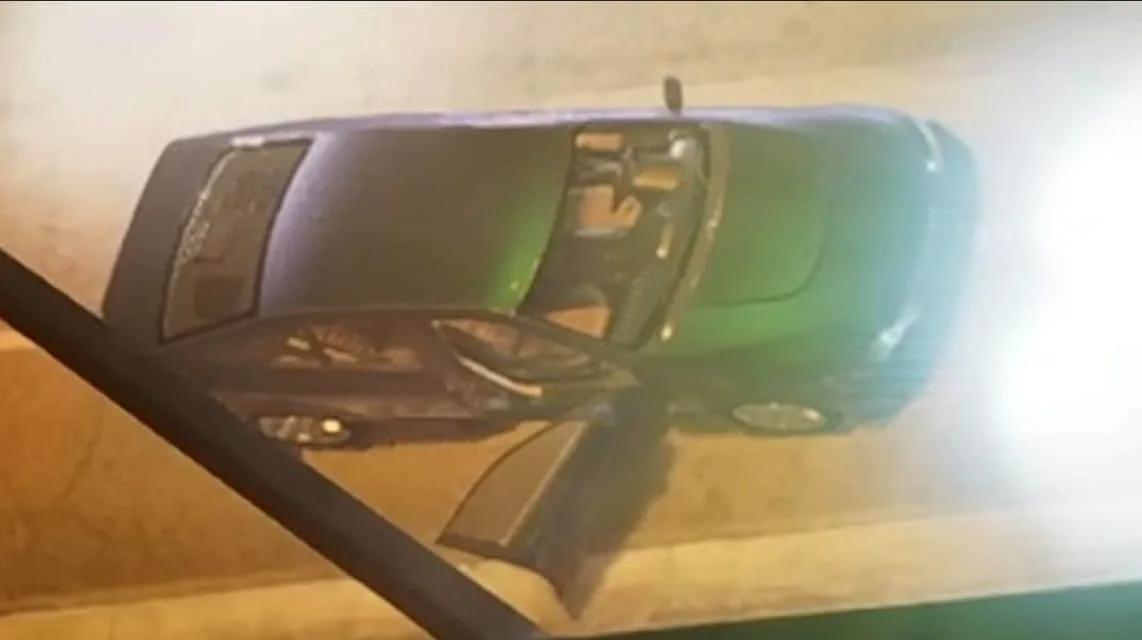 Karin Sultan from GTA 6