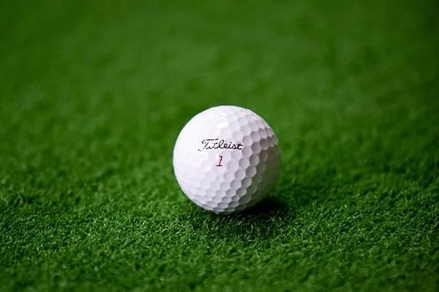Golf Ball from GTA 6