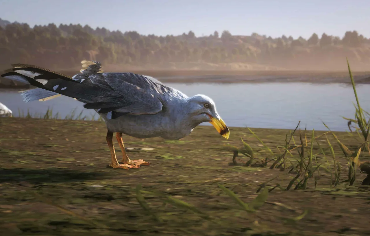 Herring Gull in GTA 6