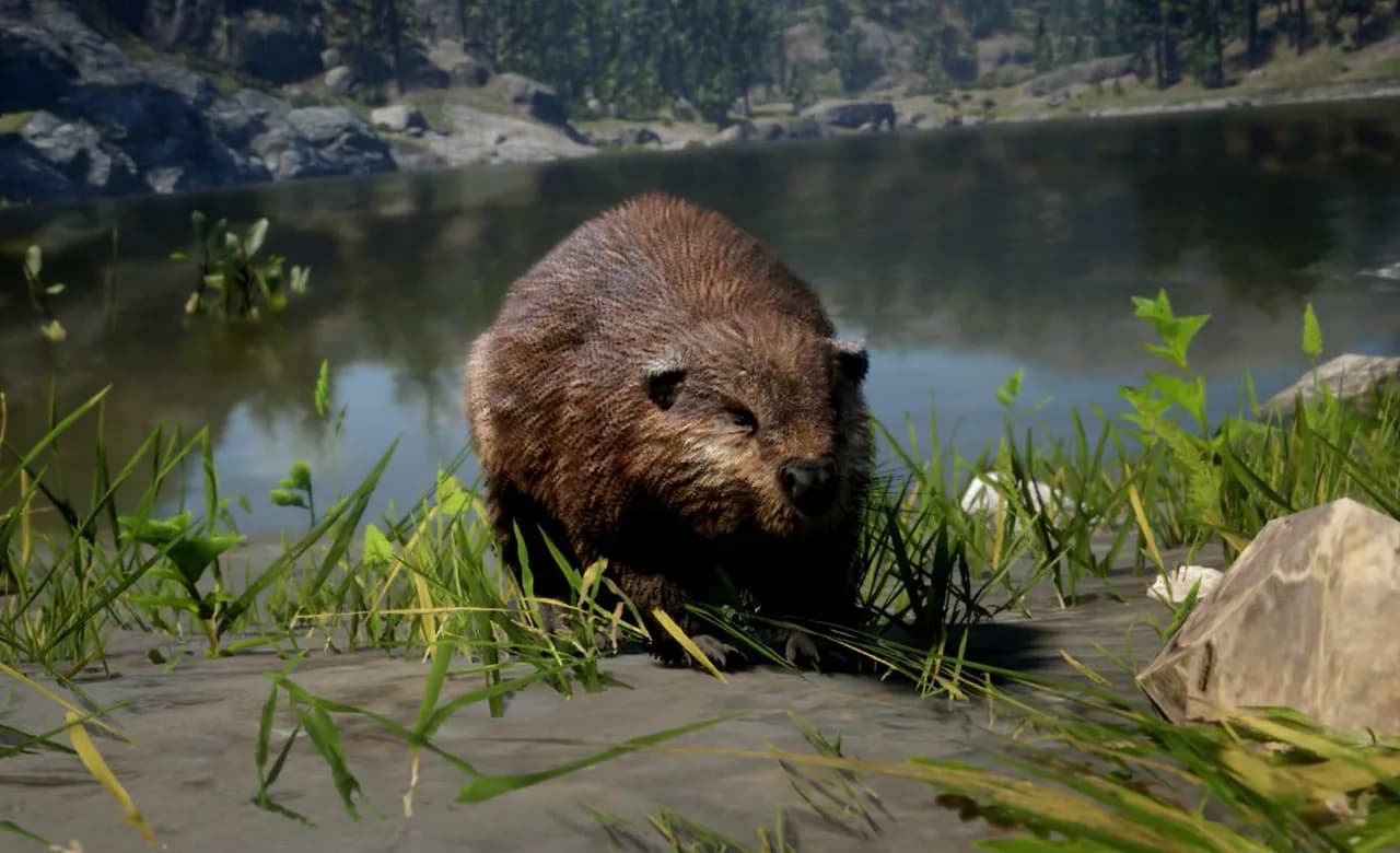 Beaver in GTA 6