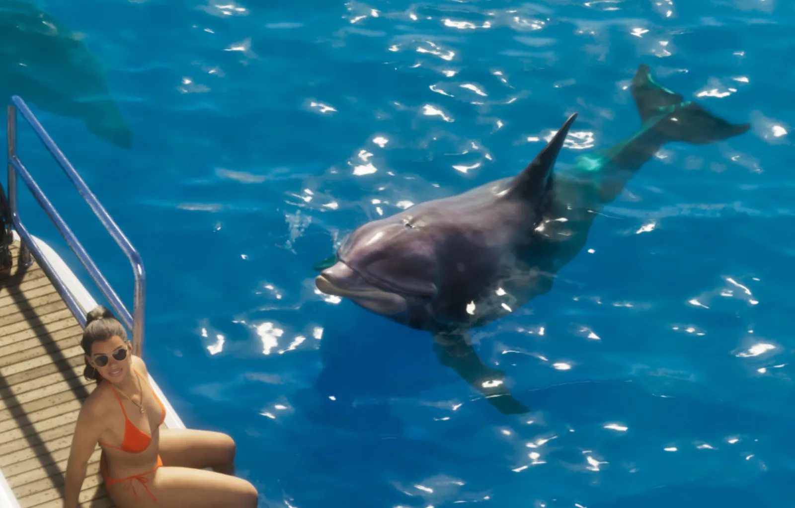 Dolphin in GTA 6