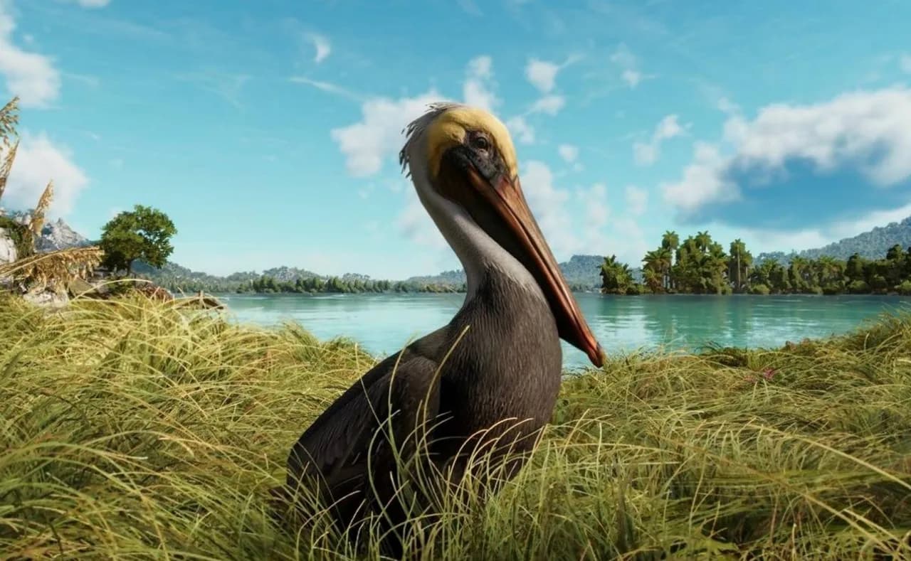 Brown Pelican in GTA 6