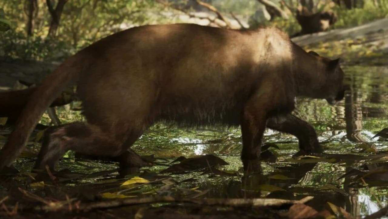Cougar in GTA 6