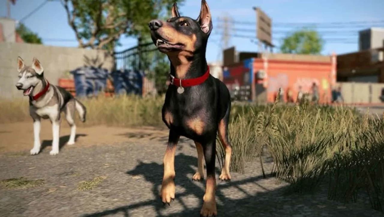 Doberman in GTA 6