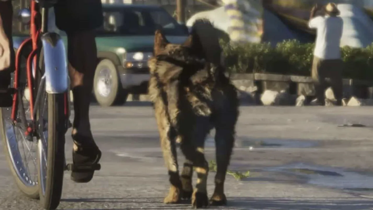 German Shepherd in GTA 6