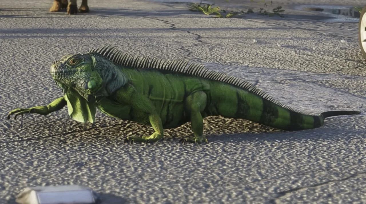Iguana in GTA 6