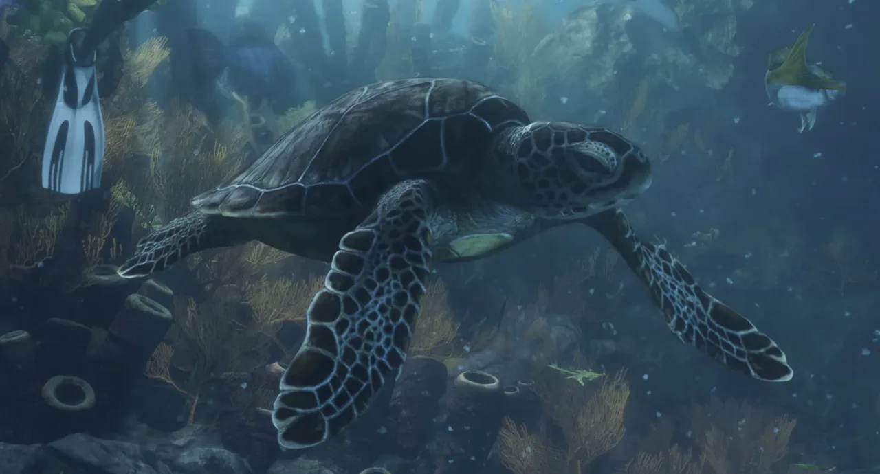 Sea Turtle in GTA 6
