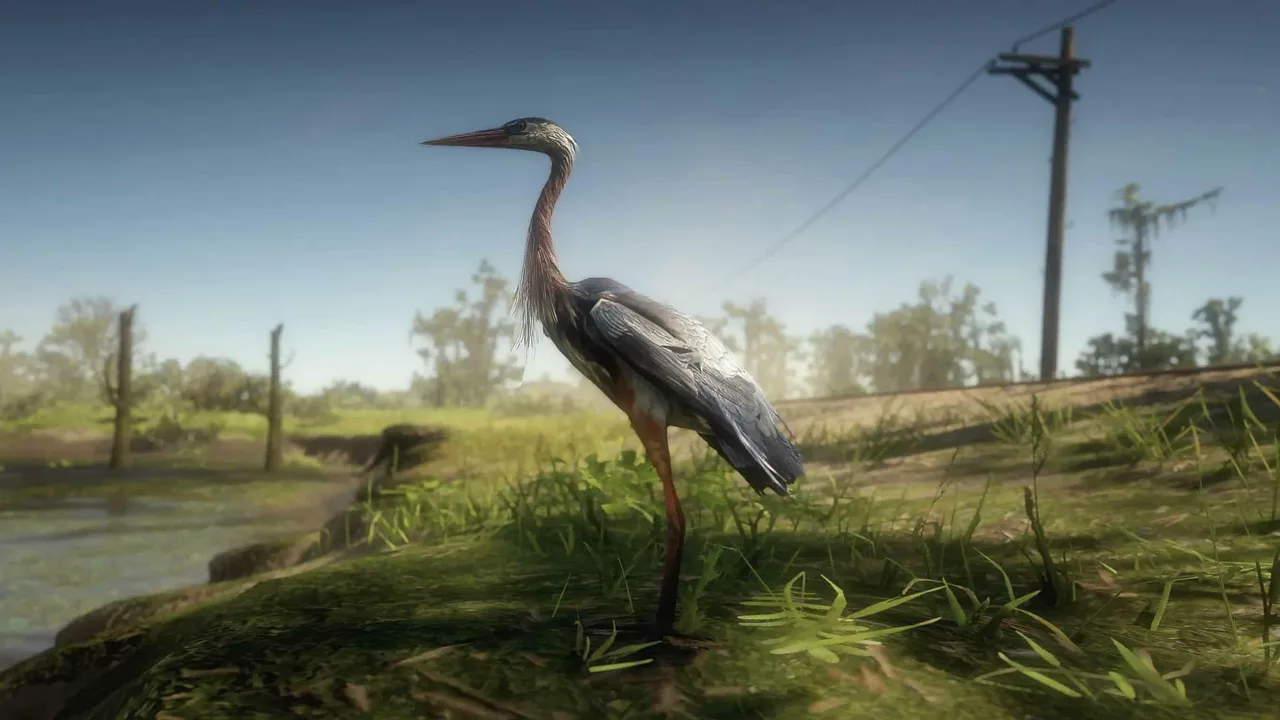 Heron in GTA 6