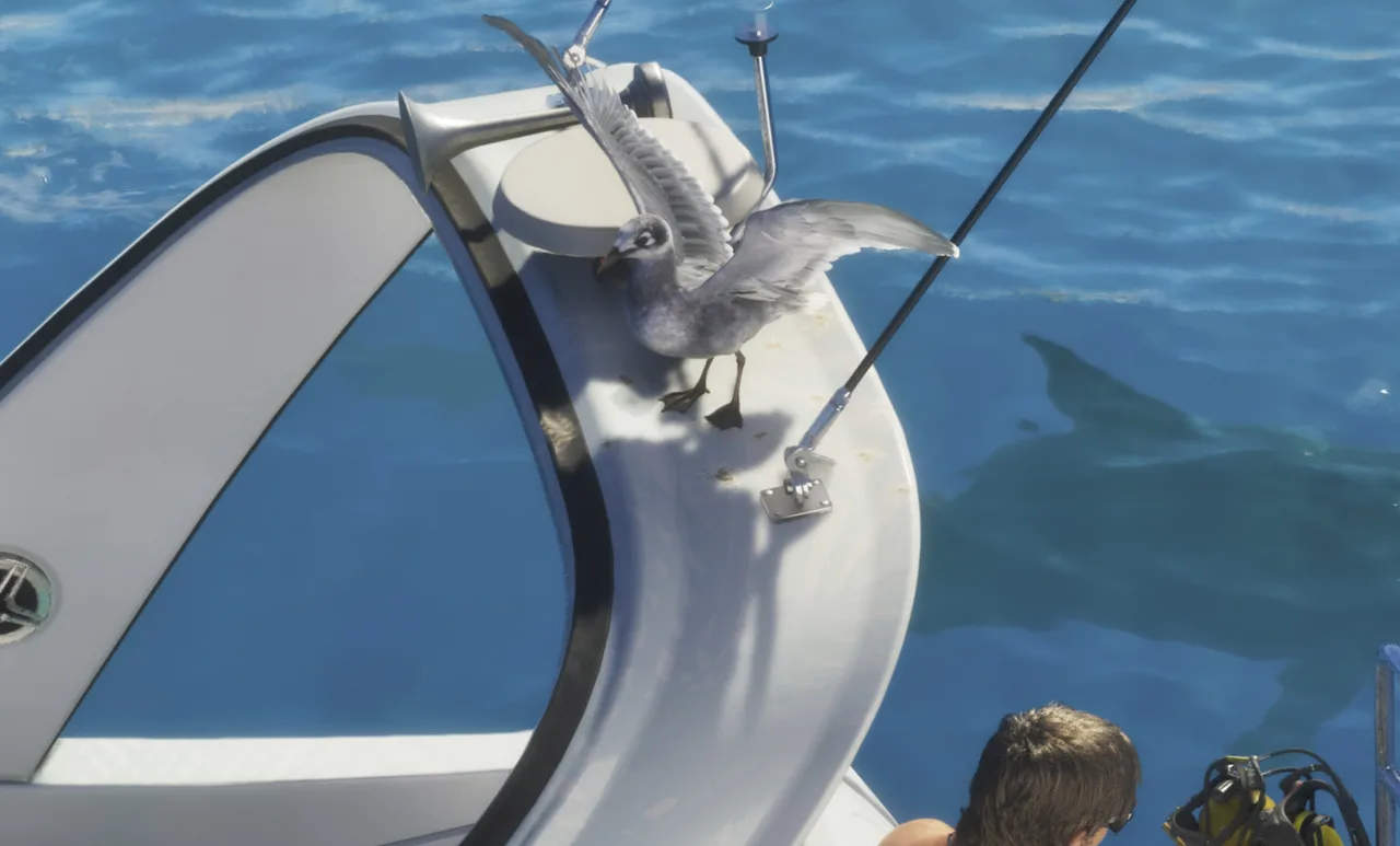 Seagull in GTA 6