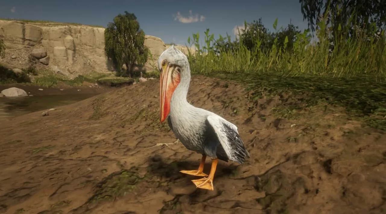 White Pelican in GTA 6