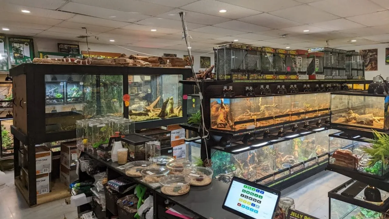 Terrarium-lined interior of the Miami Reptile Company store in Florida