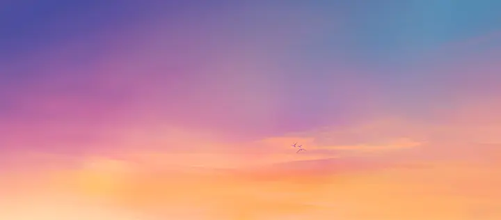 Leonida sky, wide open