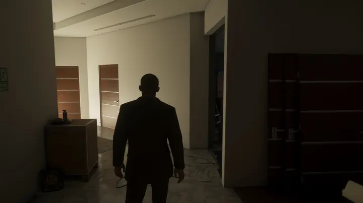 Silhouette in the dim apartment