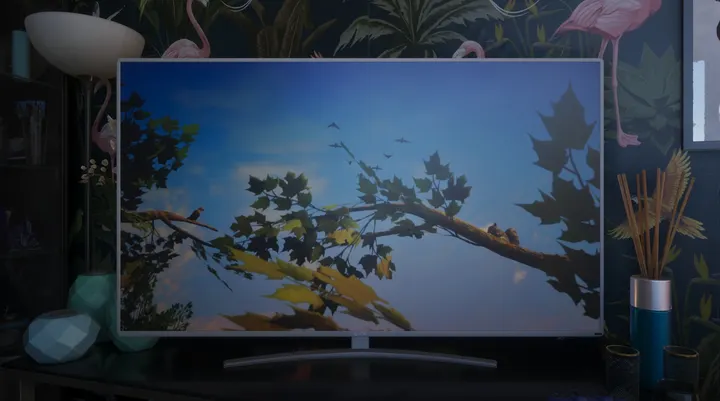 Birdwatching on the big screen