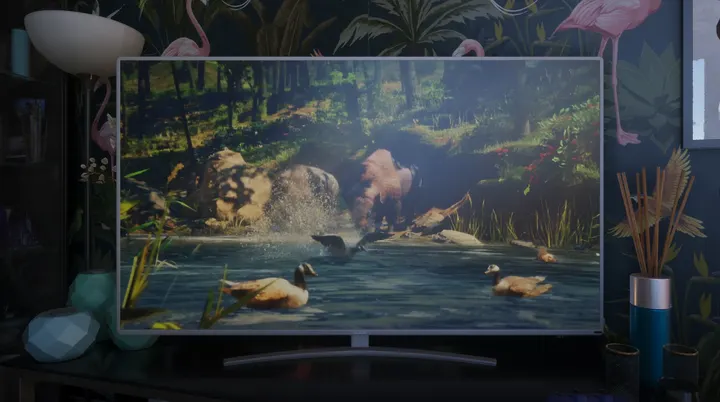 Swamp wildlife on the telly