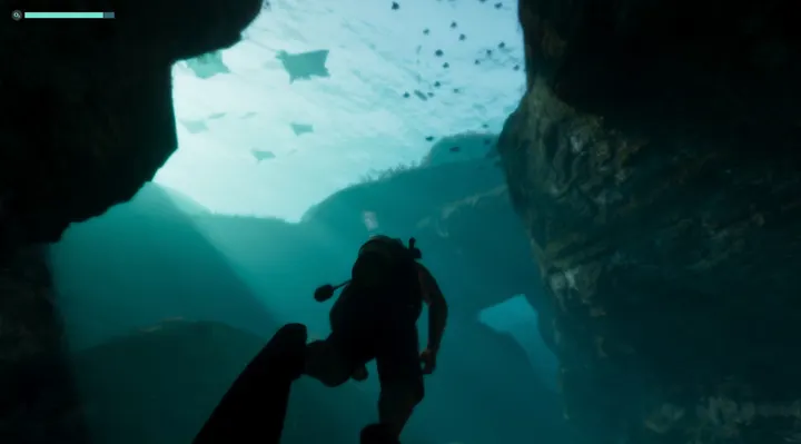Diving beneath the rays