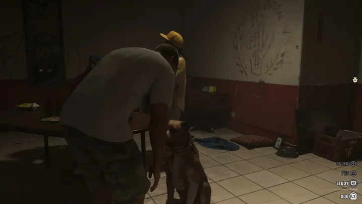 Making friends with the dog