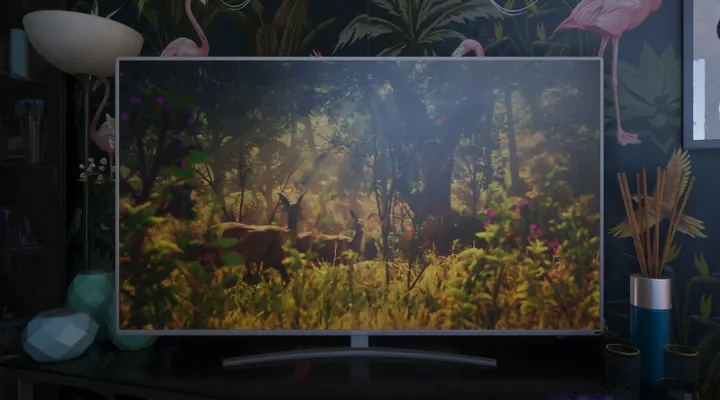 Nature show on the telly