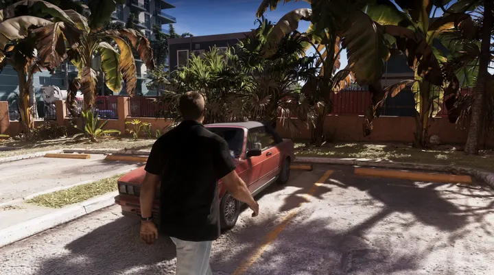 Palms over the parked convertible