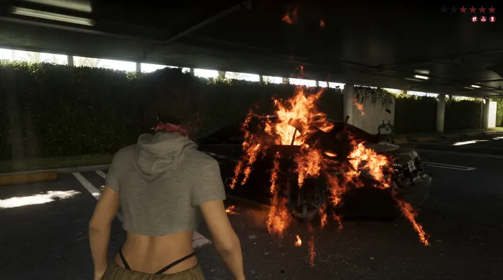 Watching the wreck burn