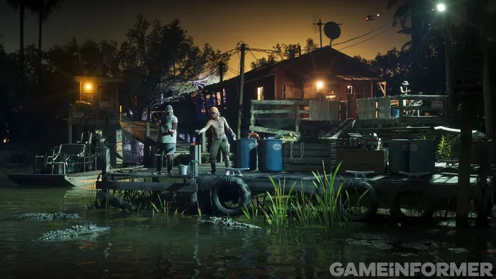 Gator by the night dock