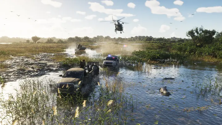 Low pass over the wetlands