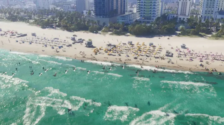Coastline from altitude