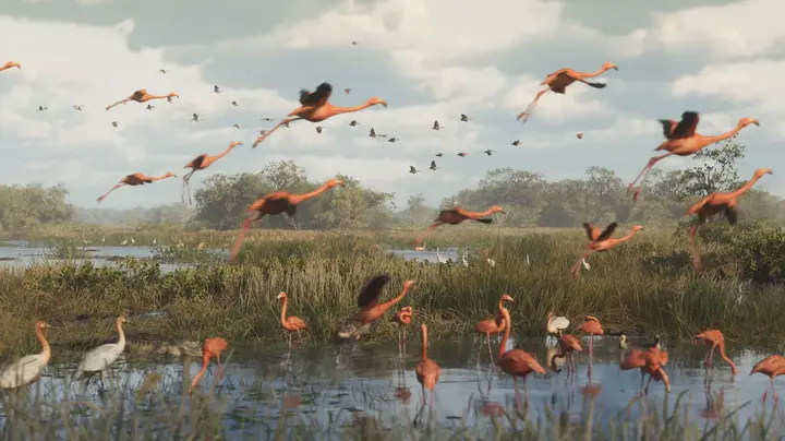 Flamingos over the flats
