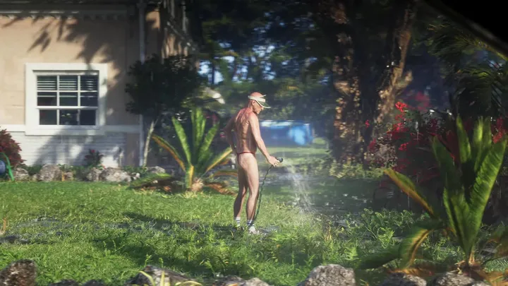 Watering the front lawn