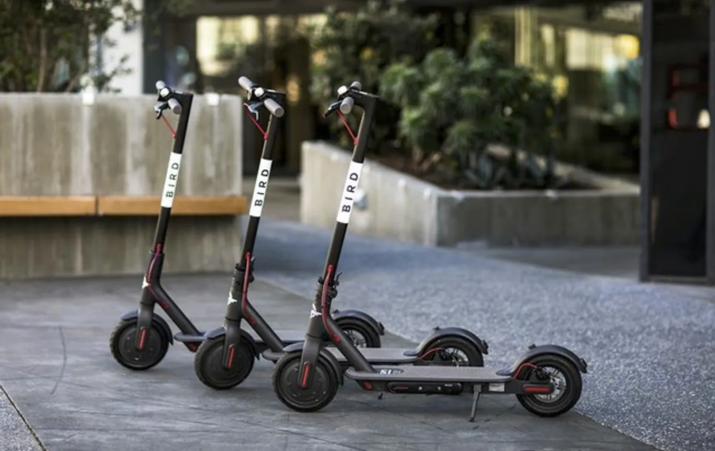 Bird One rental scooter