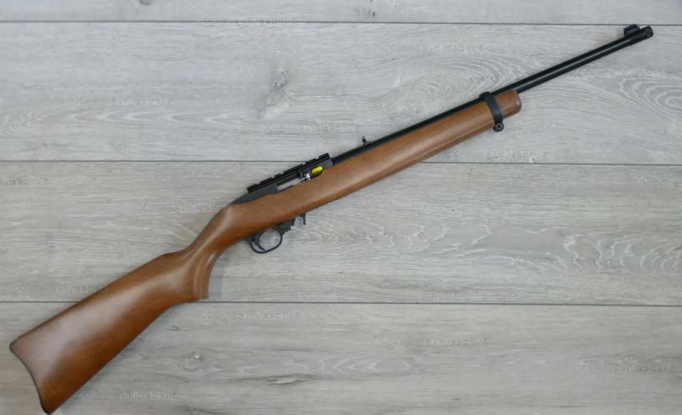 Ruger 10/22 rifle, the real-world basis for the GTA 6 weapon.